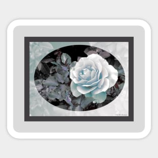 Blue-Gray Rose Sticker